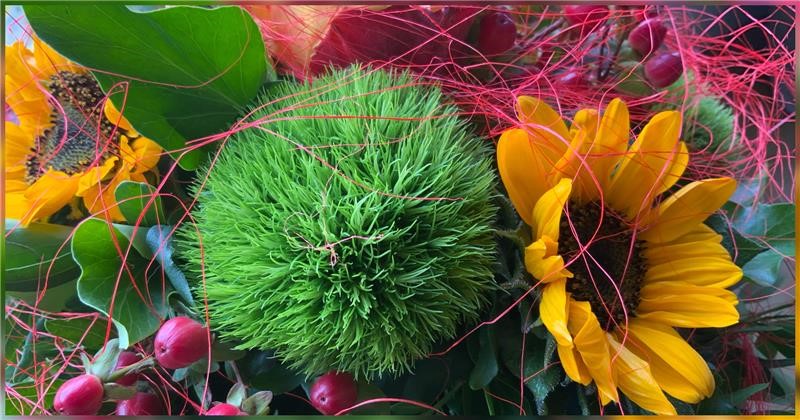 Sommerblumen