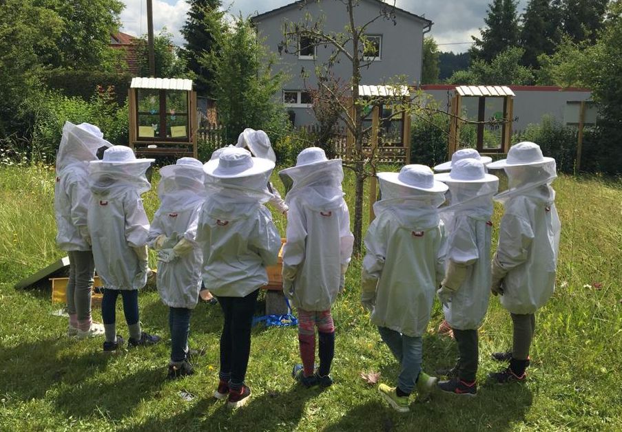 Besuch bei den Bienen 2